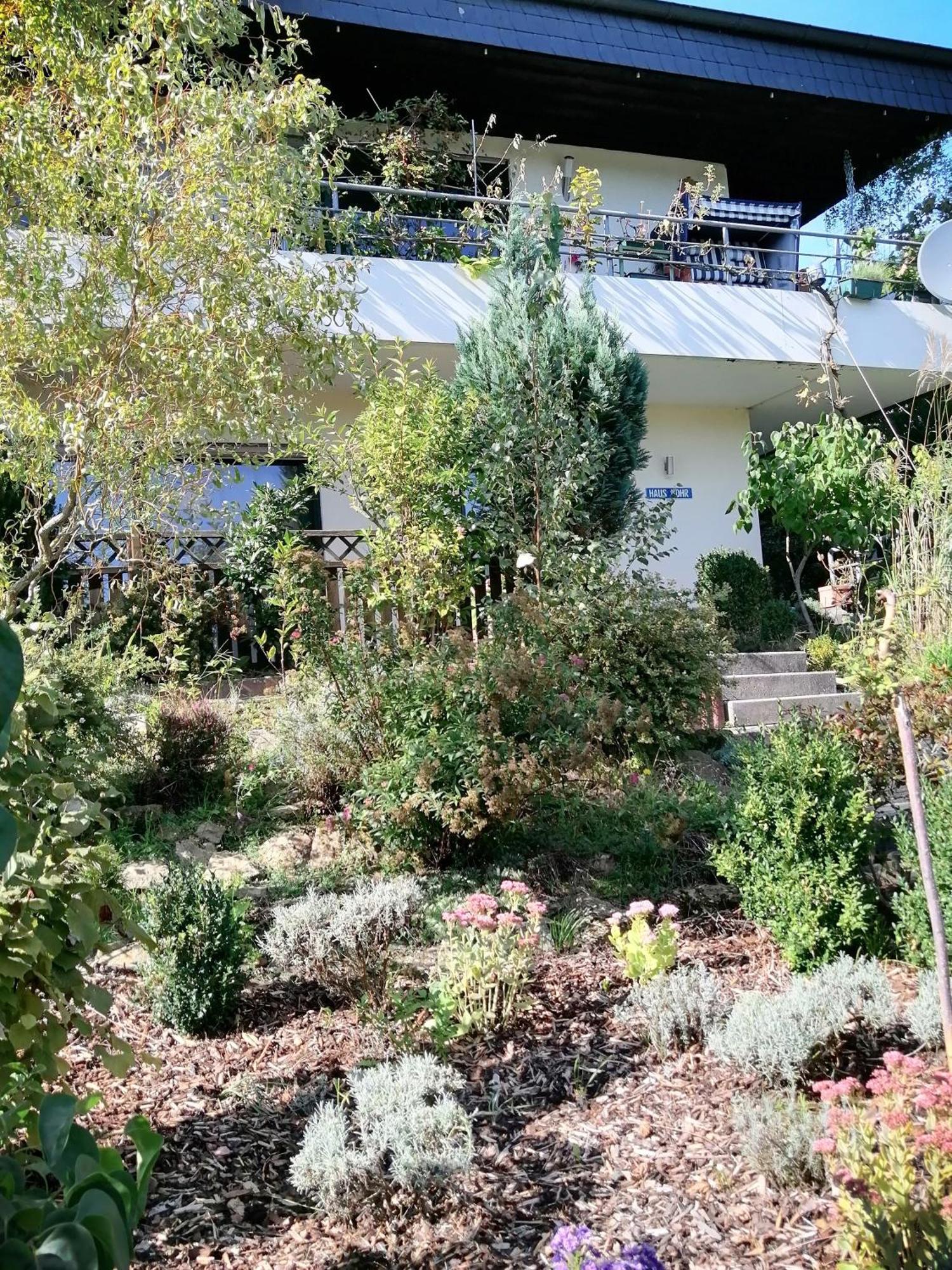 Haus Mohr - Im Taunus Apartment *